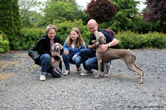 Des Limons Aux Epis Ambrés - LIAISON MAC-QUEEN rejoint sa famille